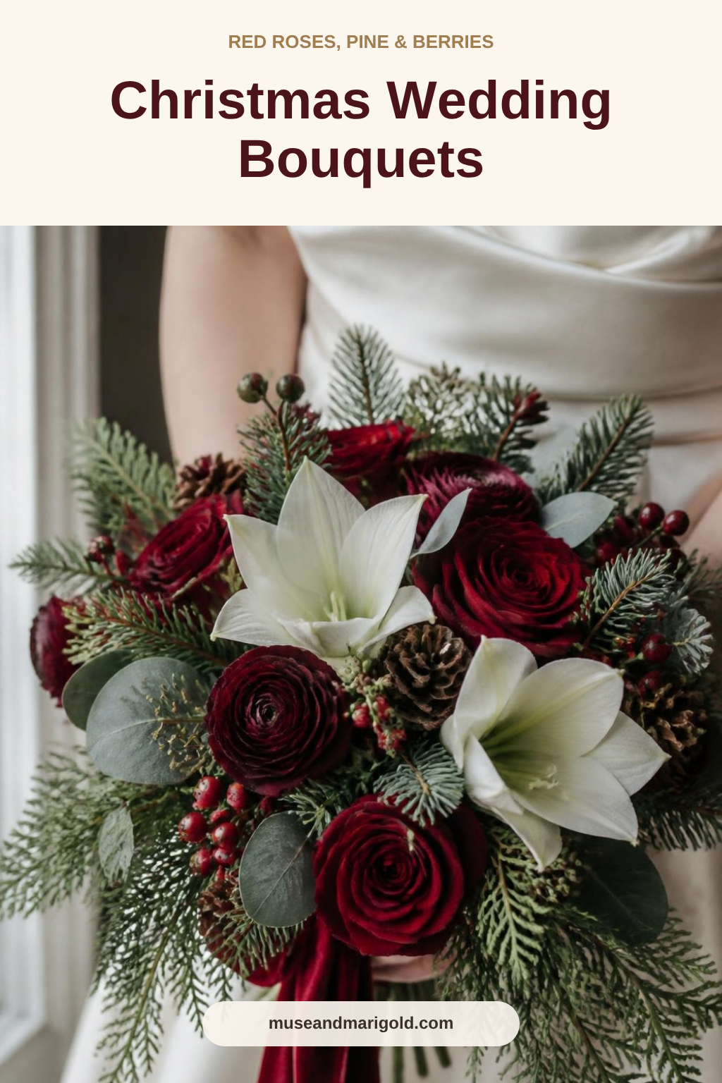 Bride holding a Christmas wedding bouquet of red roses, white amaryllis, pine, pinecones and berries