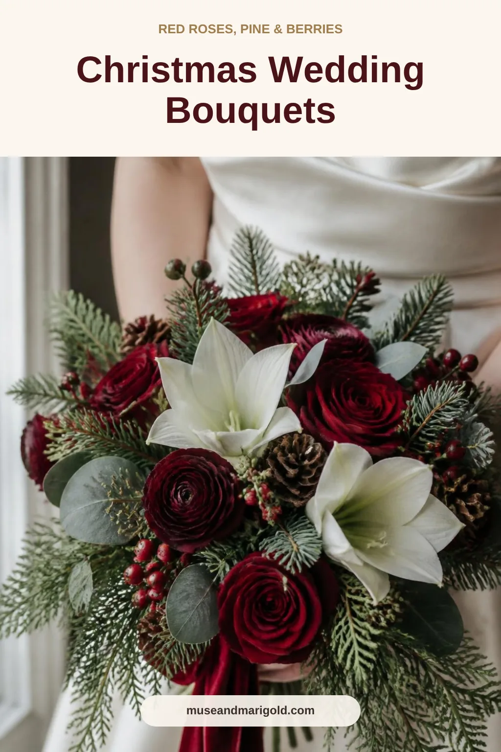 Bride holding a Christmas wedding bouquet of red roses, white amaryllis, pine, pinecones and berries